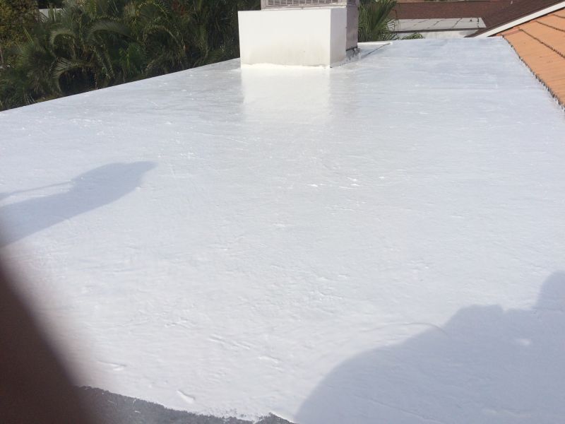 Epdm Roof Inspection