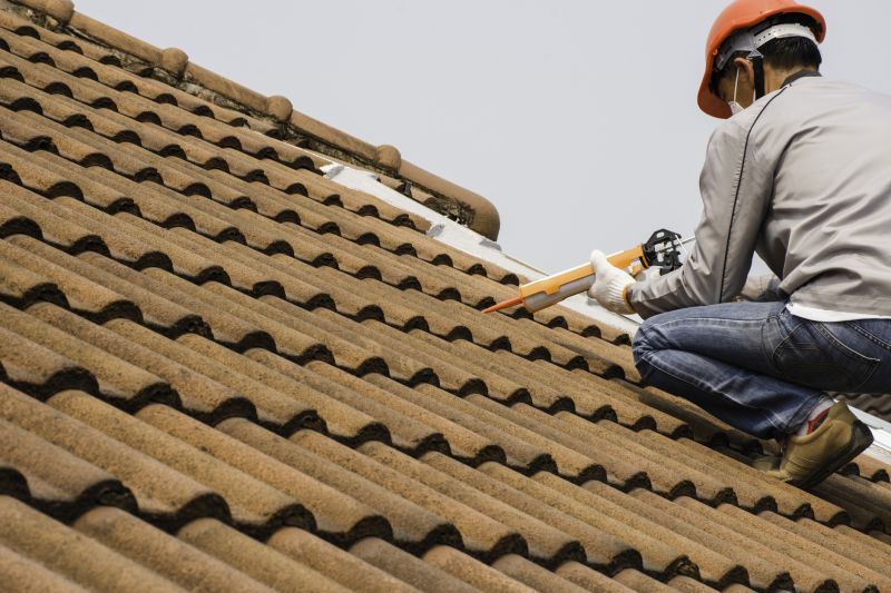 Roof Maintenance Programs